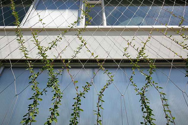 X-TEND stainless steel cable mesh greenery