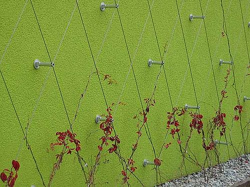 Mur végétalisé avec des plots et du câble GREENCABLE