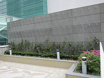 Mur végétalisé extérieur avec Greencable