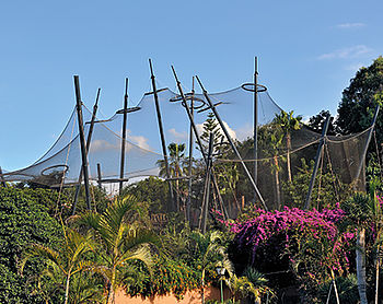 Structures porteuses avec pylônes pour enclos de zoo