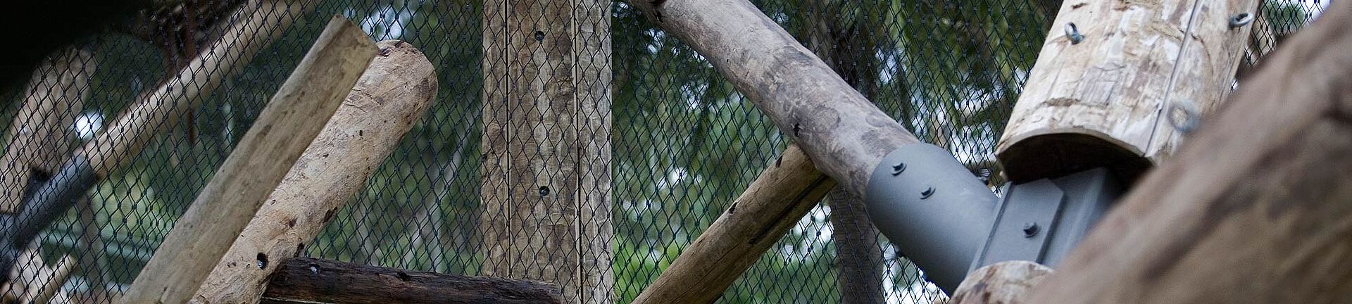 Taronga Zoo Gehege für Schimpansen