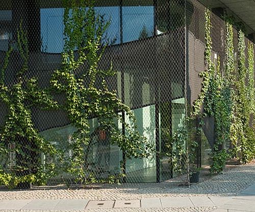 Filet antichute pour créer un mur végétal sur façade