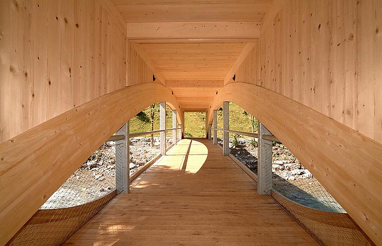 Pont en bois avec garde-corps en filet en acier inoxydable