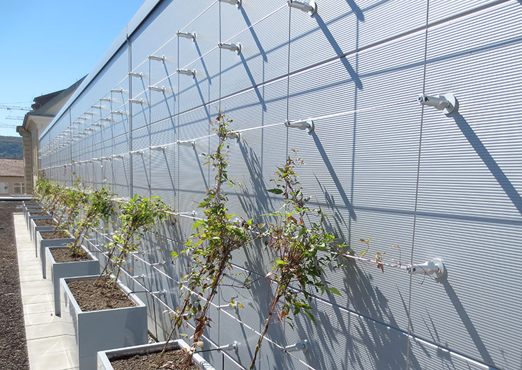 Rank And Climbing Aids Made Of Stainless Steel - Green Wall Garden Wire Trellis System
